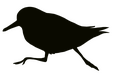 Sanderling Editorial logo